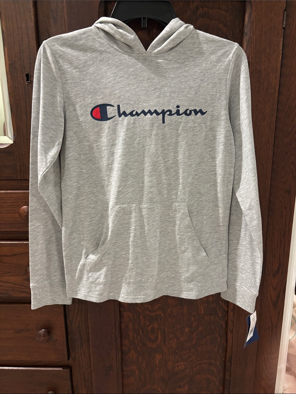 Champion Light Heather Gray Hoodie with Navy & Red Logo